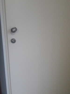 Gepantserdedeuren deur AV3 Bol deurknop 